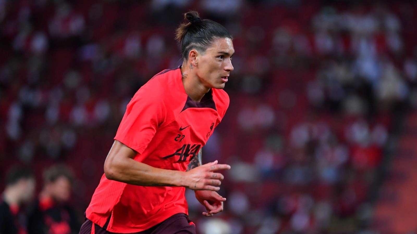 這一決策不 這一決策不